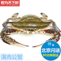 4-7两1只 北京闪送 鲜活 满肉 公梭子蟹 螃蟹 海蟹海鲜水产 飞蟹