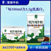 甘肃特产甘南雪顿牦牛奶牦牛奶含20%牦牛奶高原牛奶整箱213ml12袋