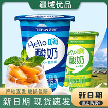 新日期 新疆天润hello12杯原味青柠酸奶燕麦益生菌鲜奶营养早餐奶
