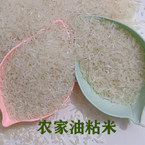 10斤新米农家大米油粘米香软糯粤北特产农家米煲仔饭煲粥米