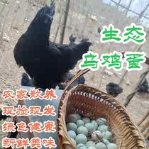 【土鸡蛋30枚】五黑鸡蛋散养土鸡蛋绿壳乌鸡蛋