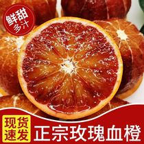 农夫 现摘玫瑰 血橙 新鲜橙子水果塔罗科四川重庆当季雪橙 山泉