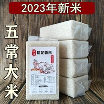 2023新米东北黑龙江五常稻花香2号香米原粮19266大米5kg长粒包邮