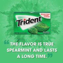 美国无糖经典原装进口Trident三叉戟木糖醇口香糖留兰香整盒12包