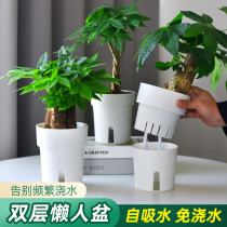 懒人绿萝植物自动吸水花盆透明水培器皿塑料玻璃水养花瓶绿箩专用