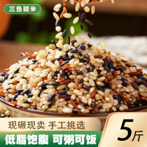 三色糙米5斤新米 黑米红米糙米饭健身主食粗粮五谷杂粮胚芽米混合