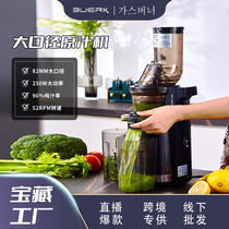 韩式原汁机榨汁机家用渣汁分离水果小型果蔬便携式鲜纯炸果汁机杯