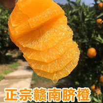 江西特产农村橙子赣南脐橙新鲜现摘现发产地直孕妇水果赣州发货甜