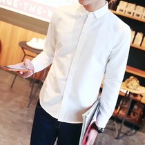 秋季毛衣里面的白衬衫男韩版修身内搭打底衣服搭配加大码肥的衬衣