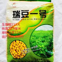 瑞豆一号黄豆种子高产非转基因黑脐大豆种籽春夏季大田播农家籽种