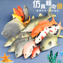 仿真鱼模型 假红鲤鱼鲫鱼金枪鱼热带鱼海洋动物装饰道具儿童玩具