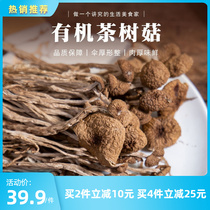 有机茶树菇2023南北干货香菇煲汤干锅食材鲜美厚实不开伞袋装100g