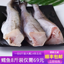 明太鱼新鲜冷冻无头鳕鱼8斤 深海狭鳕鱼海鱼整条棒棒鱼宝宝辅食