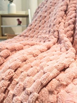 加厚5斤纯色乌龟绒羊羔绒牛奶绒双层毛毯盖毯午睡毯冬季空调毯子