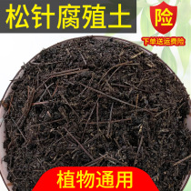 松针腐殖土有机腐叶土种植土园艺土养花种菜专用酸性通用型营养土