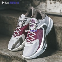 Nike/耐克ZOOM FREAK4 EP字母哥4代男子实战篮球鞋DJ6148-002-100