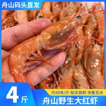 舟山野生大红虾鲜活海虾红虾海捕虾大海虾冷冻海鲜水产特产食用