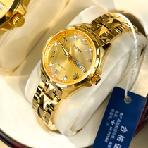 进口机芯瑞士正品牌18k金色手表女士机械表全自动防水女名表十大