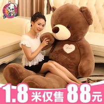 毛绒玩具熊女生抱抱熊猫泰迪熊公仔床上睡觉布娃娃女孩新年礼物女