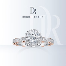 DR TIMELESS简奢款求婚钻戒钻石戒指女款订婚克拉设计师款WJ0274
