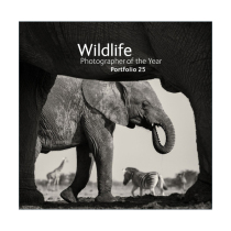 年度野生动物摄影师作品集 英文原版 Wildlife Photographer of the Year Portfolio 25 第25卷 精装 英文版 进口英语原版书籍
