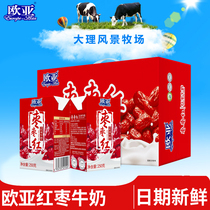 【日期新鲜】欧亚枣枣红红枣牛奶250g*24盒/箱早餐大理乳制品