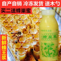 深山野生纯蜂王浆天然蜂皇浆自产自销新鲜蜂乳500g无添加百花春浆
