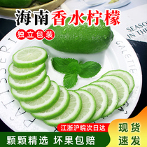 海南香水青柠檬奶茶店专用无籽一级绿柠新鲜皮薄不苦5斤多省免邮