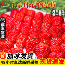 丹东99草莓新鲜红颜奶油东港九九甜牛奶草莓大果礼盒正宗大果空运