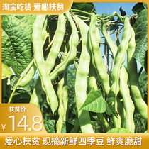 新鲜四季豆5斤蔬菜类白芸豆角无筋豆扁豆生鲜特价蔬菜荷兰豆