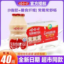 娃哈哈乳酸菌饮品100ml*40瓶哇哈哈益生菌饮料儿童酸奶含乳饮品