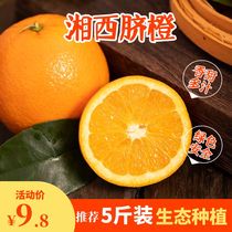湘西脐橙整箱湖南特产新鲜水果当季手剥甜橙应季超甜橙子大果包邮