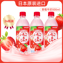 日本进口SANGARIA三佳利草莓牛奶饮料整箱批发特价三佳丽桑格利亚