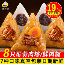 唐阿婆端午肉粽鲜肉大粽子甜粽蛋黄肉粽嘉兴风味商用手工新鲜礼盒