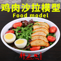 西餐食品模型鸡胸肉蔬菜沙拉道具假菜减肥食物样品圣女果番茄定制