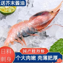 牡丹虾刺身蝴蝶虾日本料理甜虾即食海捕国产大虾冷冻新鲜活