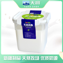 【天润润康酸奶1kg/桶】新疆天润酸奶低温方桶老酸奶风味酸奶家庭