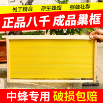 正品八千巢础中蜂成品巢框蜂箱养蜂专用带框巢础蜜蜂蜂蜡造脾工具