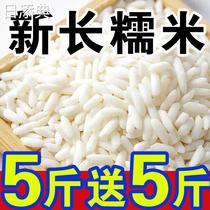 新长糯米5斤2023新米圆糯米杂粮新鲜香白江米粽子酒酿糯米