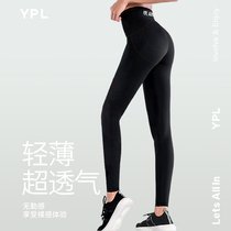 YPL小狗运动瑜伽裤女高腰收腹紧身健身裤提臀瘦腿鲨鱼裤外穿塑形