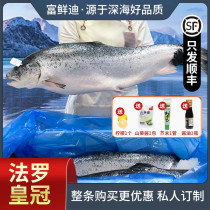 丹麦法罗皇冠冰鲜三文鱼一整条 新鲜中段刺身即食生鱼片带头鲑鱼