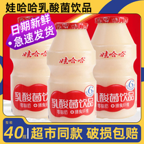 娃哈哈乳酸菌饮品0脂肪膳食纤维大人儿童酸奶酸牛奶饮料整箱40瓶