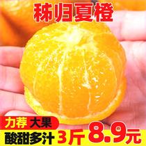 【秭归夏橙】湖北手剥酸甜橙子5斤9斤3斤新鲜水果冰糖脐包邮血