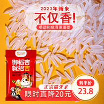 2024年现磨新米大米10斤猫牙米长粒香泰国香米增城丝苗米煲仔饭米