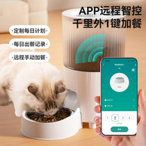 新款猫咪自动喂食器智能APP定时定量WIFI远程投食器自动续量宠物