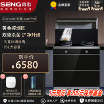 SENG/森歌 M3集成灶家用一体灶气电两用消毒柜小户型厨房油烟机