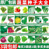 蔬菜种子小葱籽菜种籽大全生菜菜籽青菜阳台盆栽种孑韭菜香菜