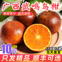 乌柑广西武鸣黑皮沃柑10斤新鲜水果应季橘子非洲黑柑丑柑橘脏脏柑