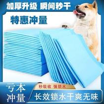 宠物纸尿垫100片加厚小狗狗猫咪垫片全套吸不湿生产垫子用品大全D