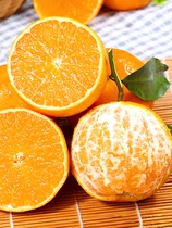 爱媛38号果冻橙橙子5斤新鲜水果特产当季四川柑橘蜜桔子手剥包邮